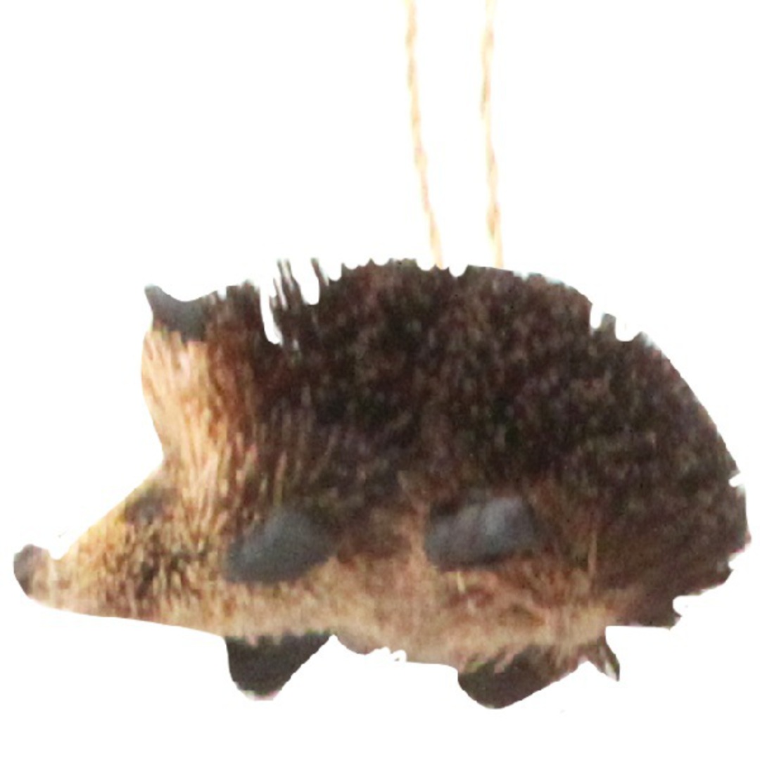Bristle Two Tone Brown Hedgehog 6cm *ETA Nov image 0